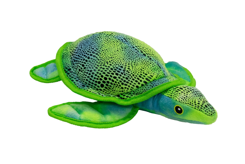 tortuga caribe 30cm 1un Imagen principal del producto