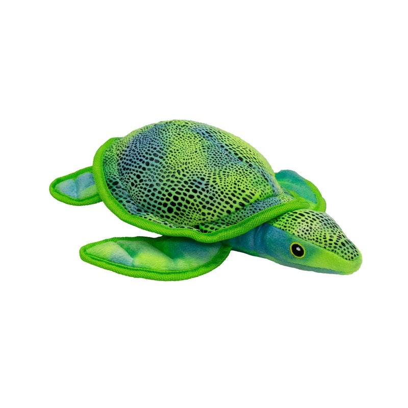 tortuga caribe 30cm 1un
