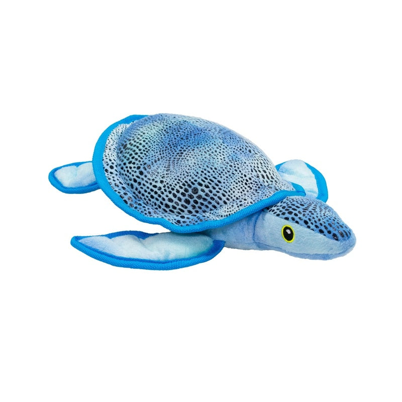 tortuga caribe 30cm 1un