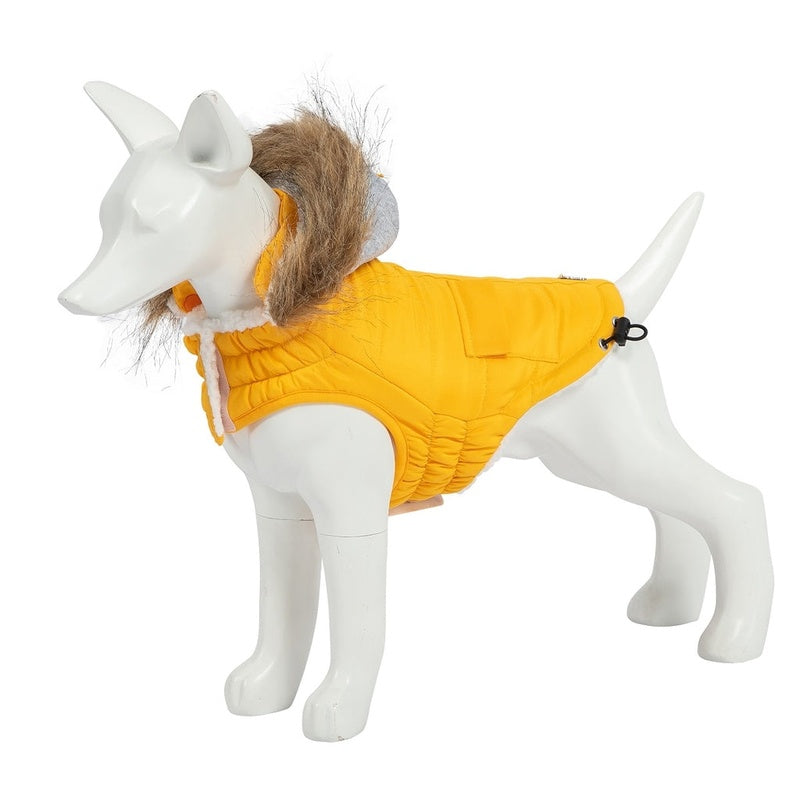 Eco Pooch groc