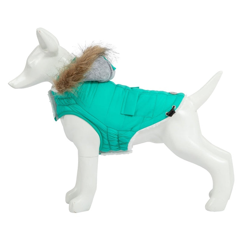 Eco Pooch el teurquesa
