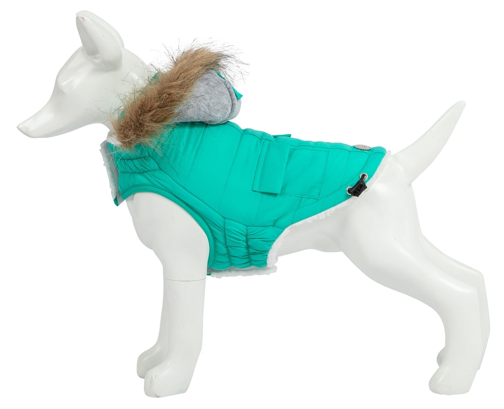 Eco Pooch turquesa