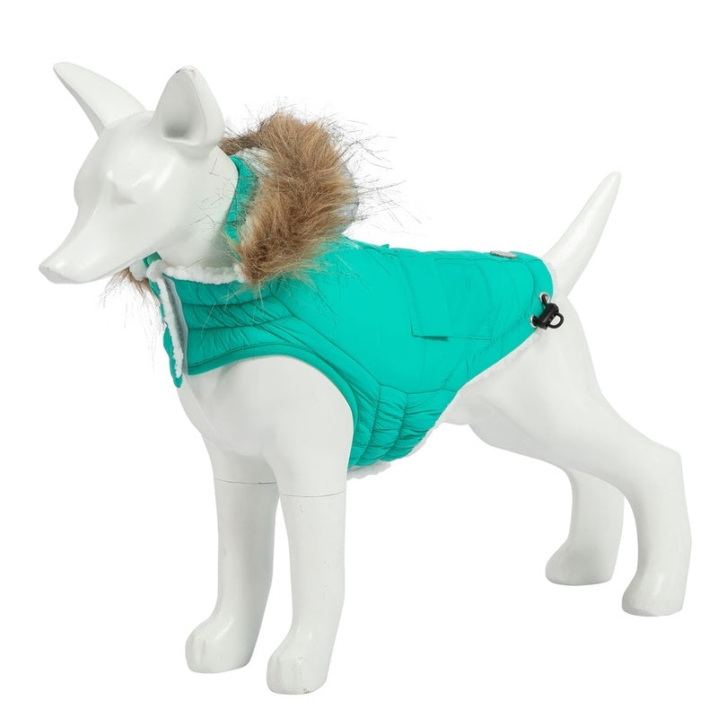 Eco Pooch el teurquesa