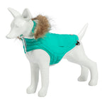 Eco Pooch turquesa