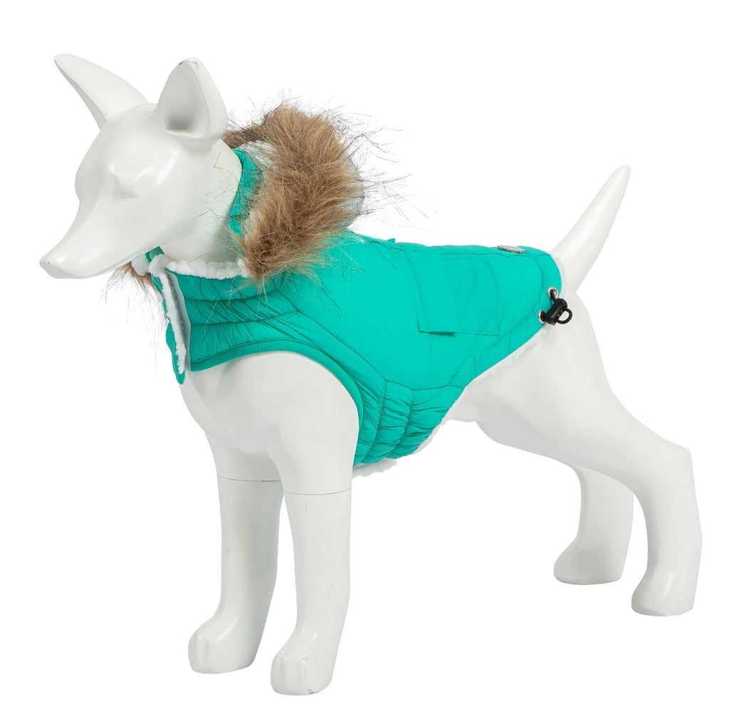 Eco Pooch turquesa