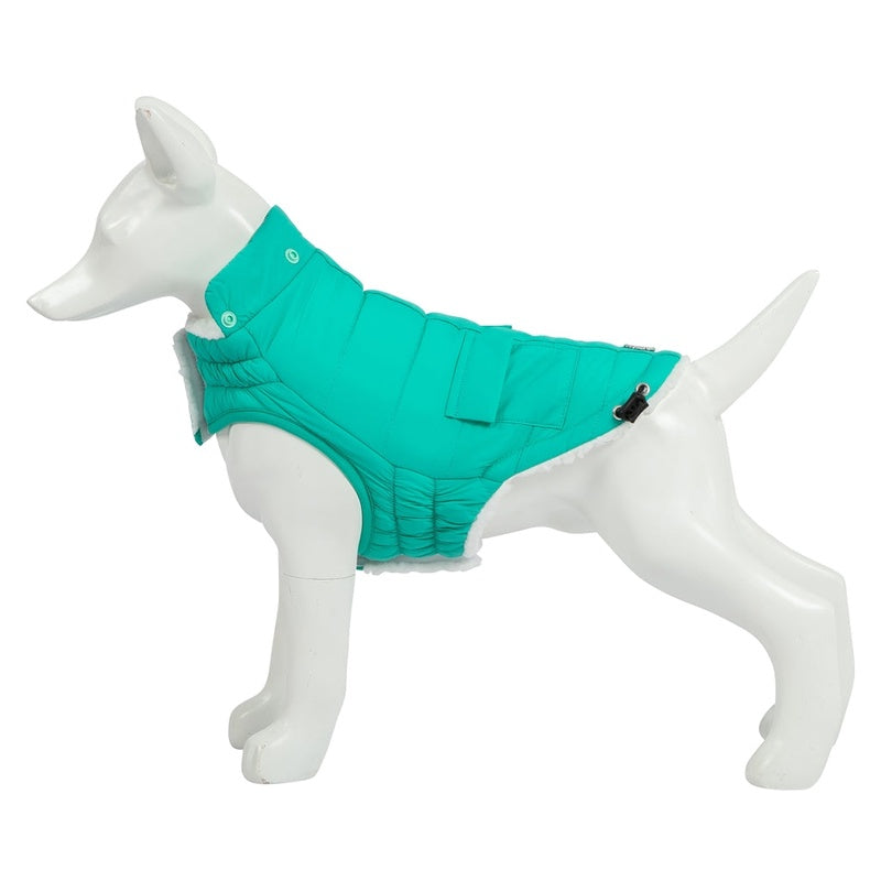 Eco Pooch el teurquesa