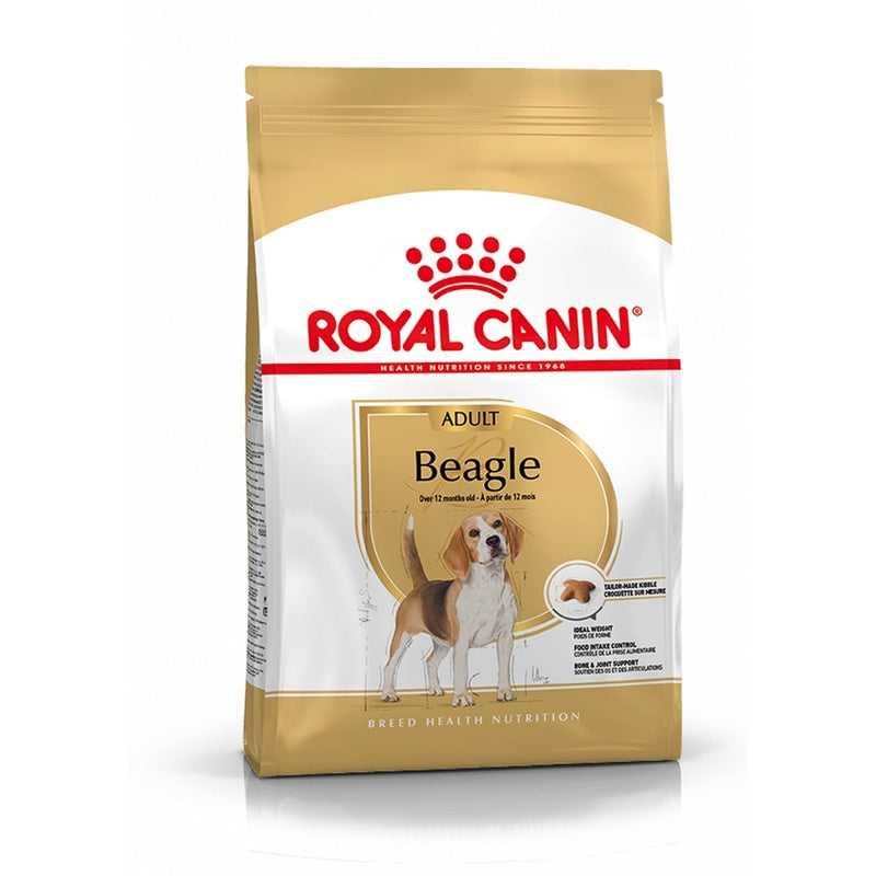 Beagle Imagen principal del producto