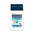 Advance Adult pinso per a gats