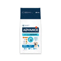 Advance Adult Maxi pienso para perros