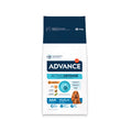 Advance Adult Medium pienso para perros