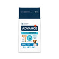 Advance Adult Mini pinso per a gossos