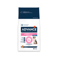 Advance Atopic amb truita pinso per a gossos