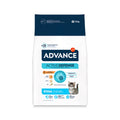 Advance Kitten pinso per a gatets