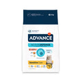Advance Sensitive Care amb salmó pinso per a gats