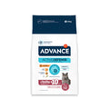 Advance Sènior 10+ pinso per a gats