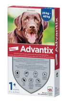 Advantix (+25 kg) 1 pipeta