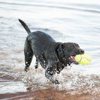 air squeaker football L