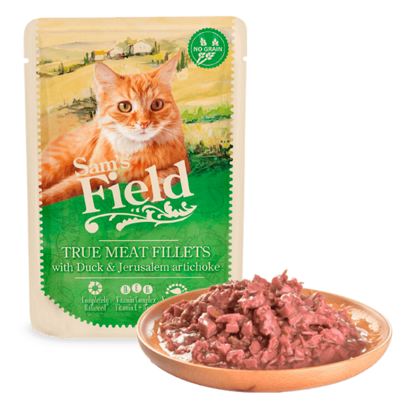 gat filets ànec alcachofa ferusalén sobre 85 g Imatge principal del producte
