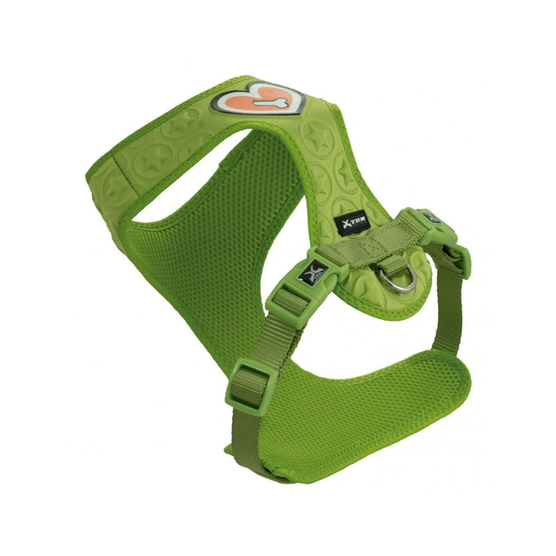 3D heart of bone verde