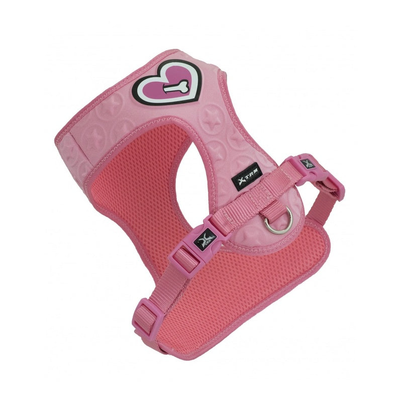 3D heart of bone rosa