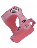3D heart of bone rosa