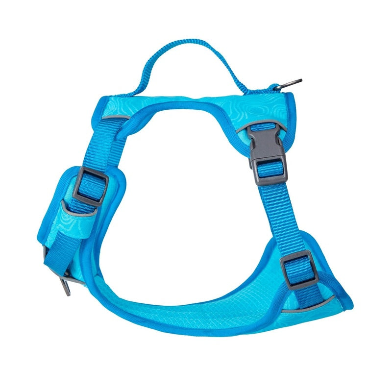arnès cool pro tech blau