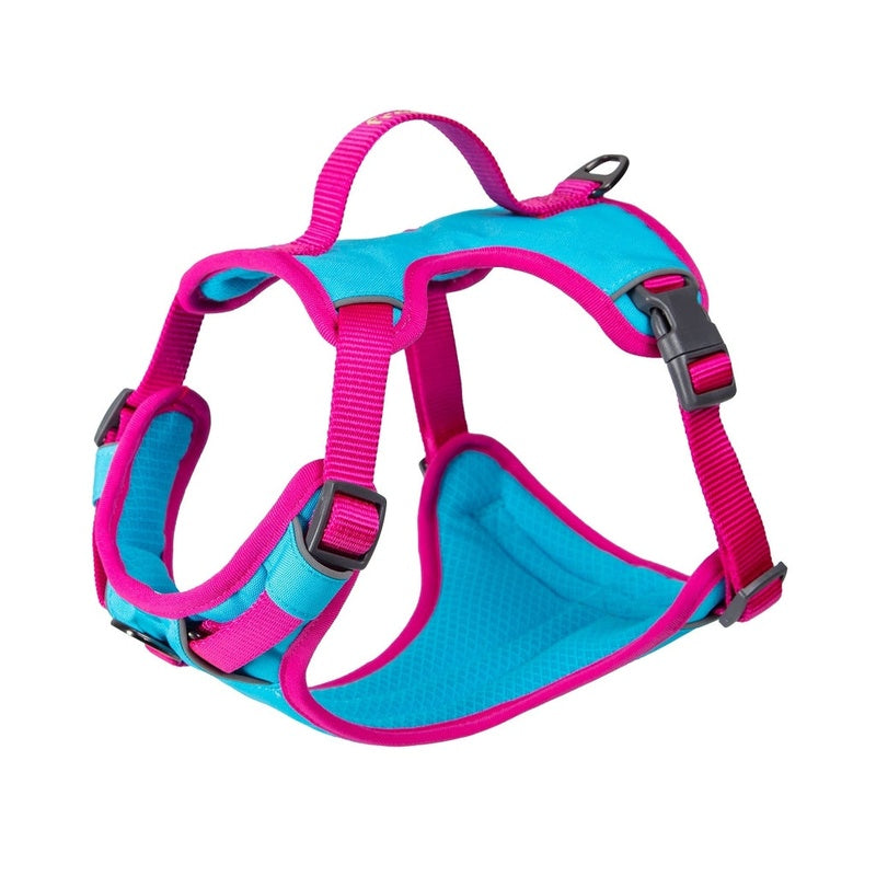 arnès cool pro tech fucsia