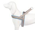 Shiva Sport blau cielo