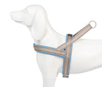 Shiva Sport blau cielo