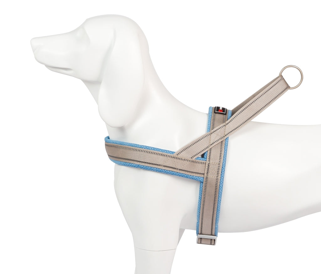 Shiva Sport blau cielo