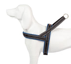 Shiva Sport blau marino