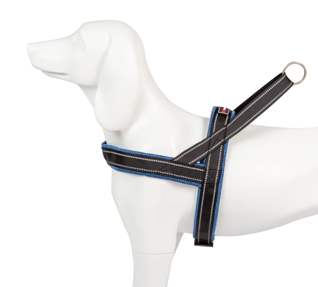 Shiva Sport blau marino