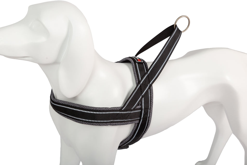 Shiva Sport gris Imatge principal del producte