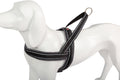 Shiva Sport gris
