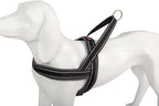 Shiva Sport gris
