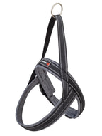 Shiva Sport gris