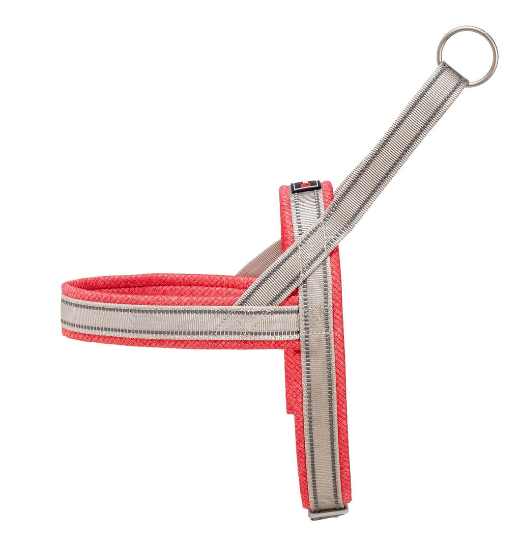 Shiva Sport rojo