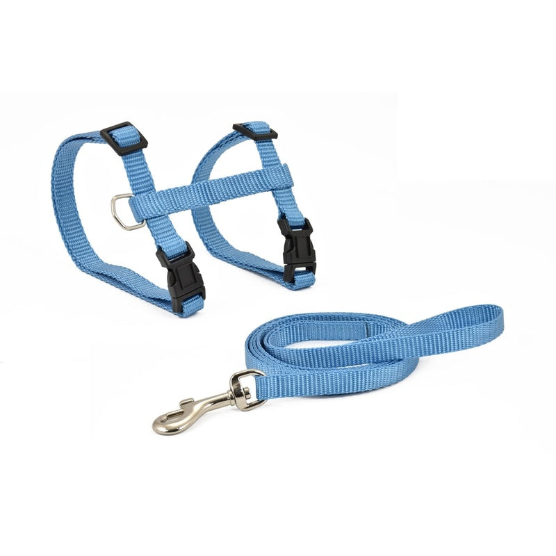 con correa basic azul 10mmx27-45cm Imagen principal del producto