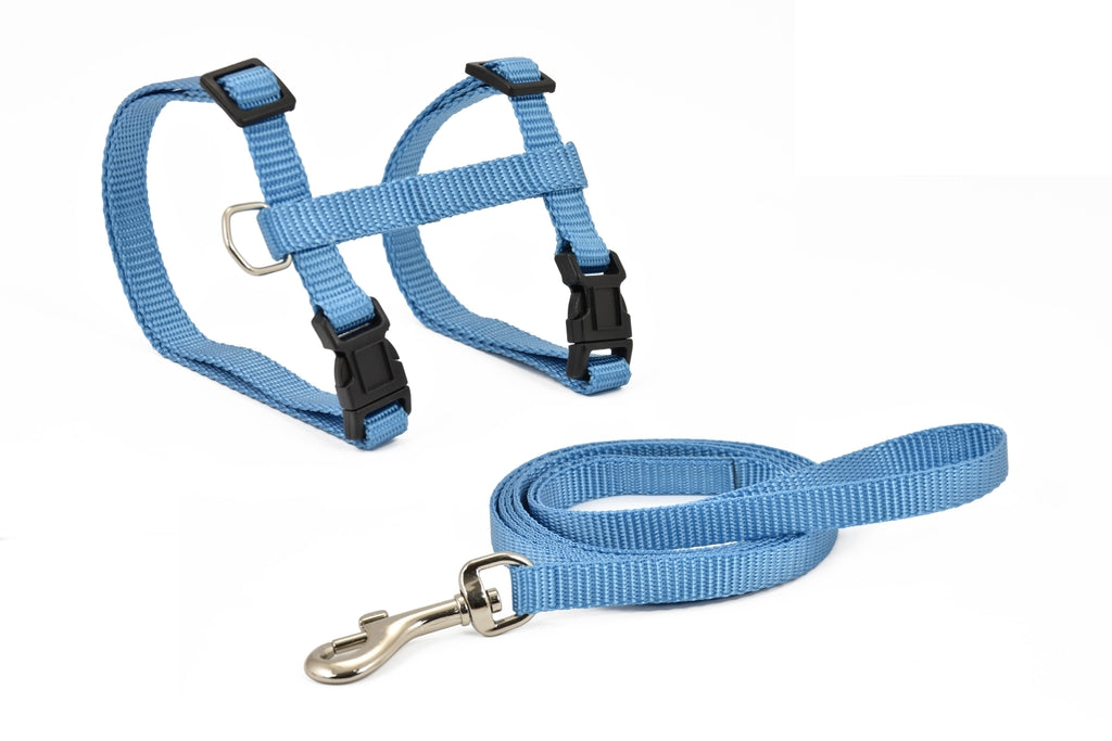 amb corretja basic blau 10mmx27-45 cm