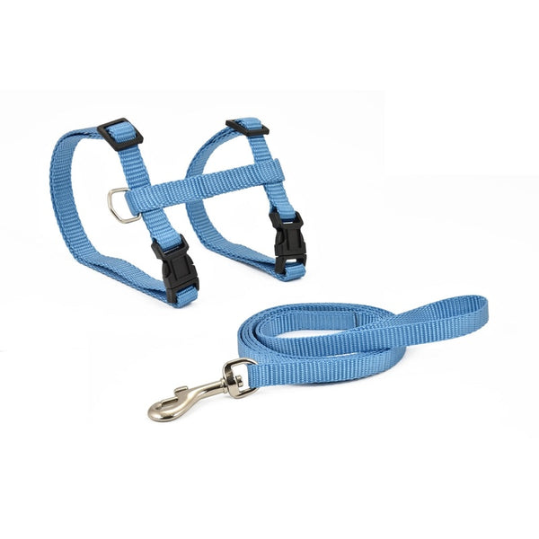 amb corretja basic blau 10mmx27-45 cm