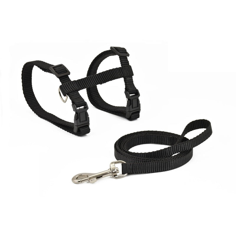 con correa basic negro 10mmx27-45cm Imagen principal del producto