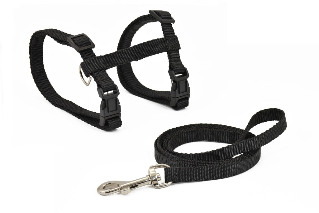 amb corretja basic negre 10mmx27-45 cm