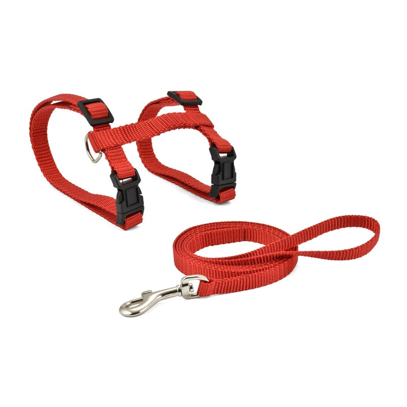 con correa basic rojo 10mmx27-45cm Imagen principal del producto
