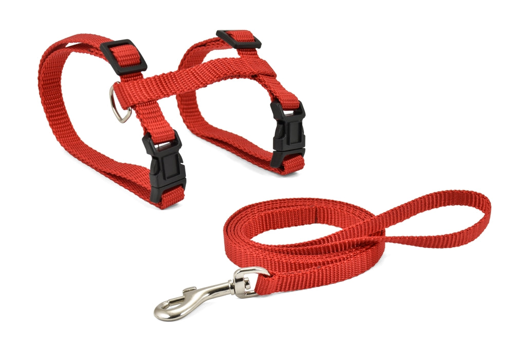 con correa basic rojo 10mmx27-45cm
