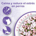 Collar Calming per a gossos 65 cm