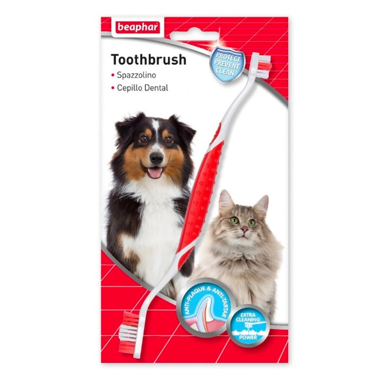 Cepillo dental Para Perro y Gato Imagen principal del producto