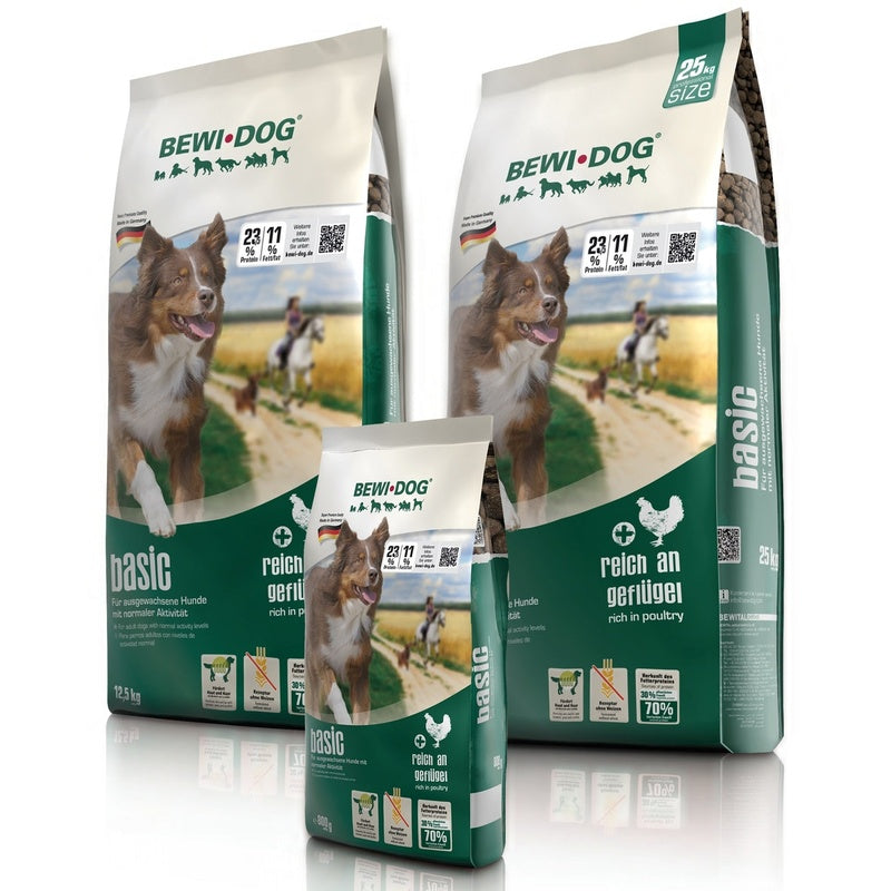 perro basic croc Imagen principal del producto