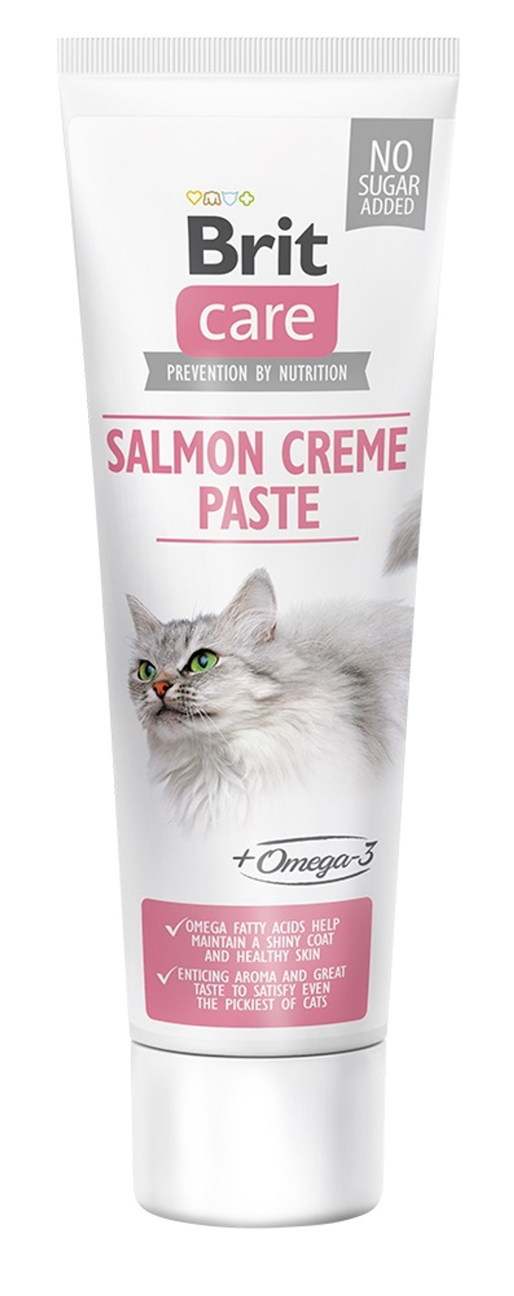 Care cat crema de salmón 100gr Imagen principal del producto