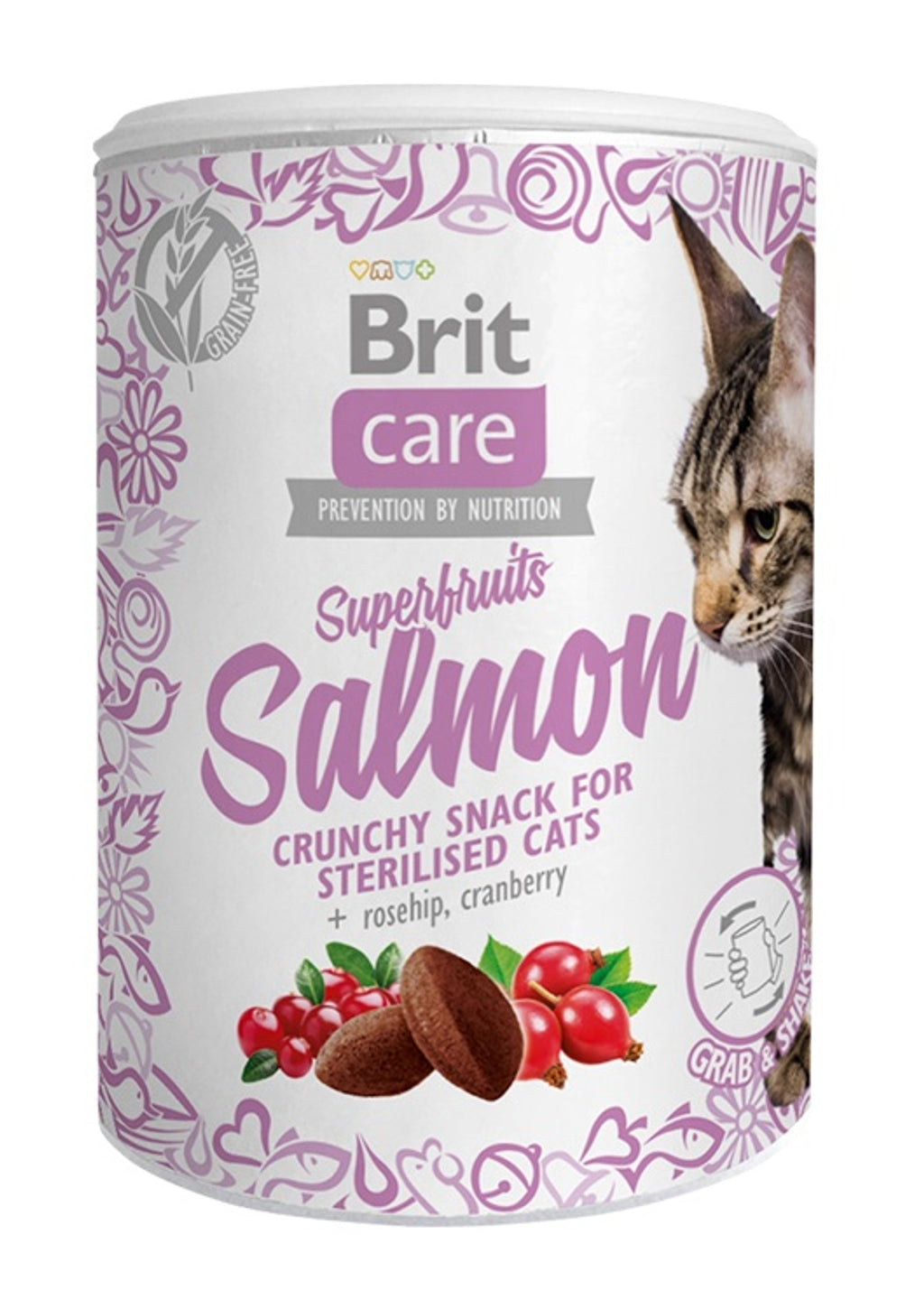 Care gato superfruits snack salmó 100gr Imagen principal del producto