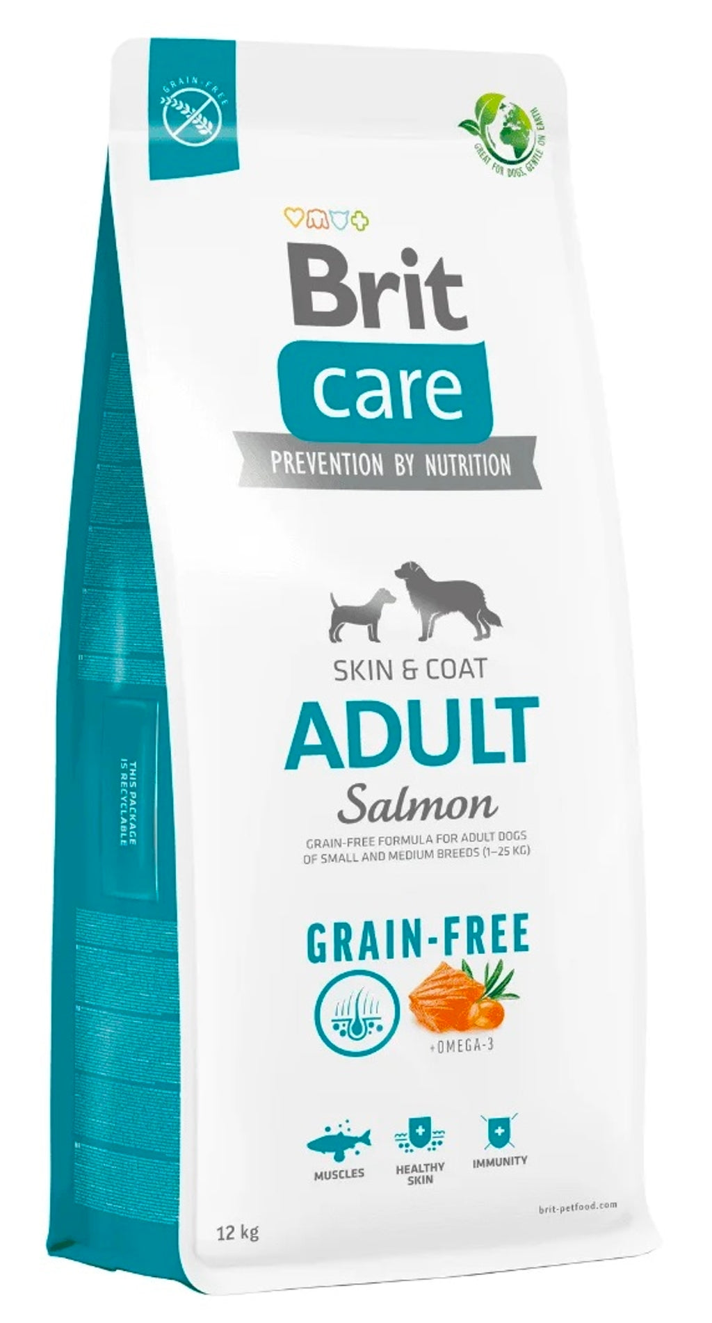 Care Adult Grain Free salmó
